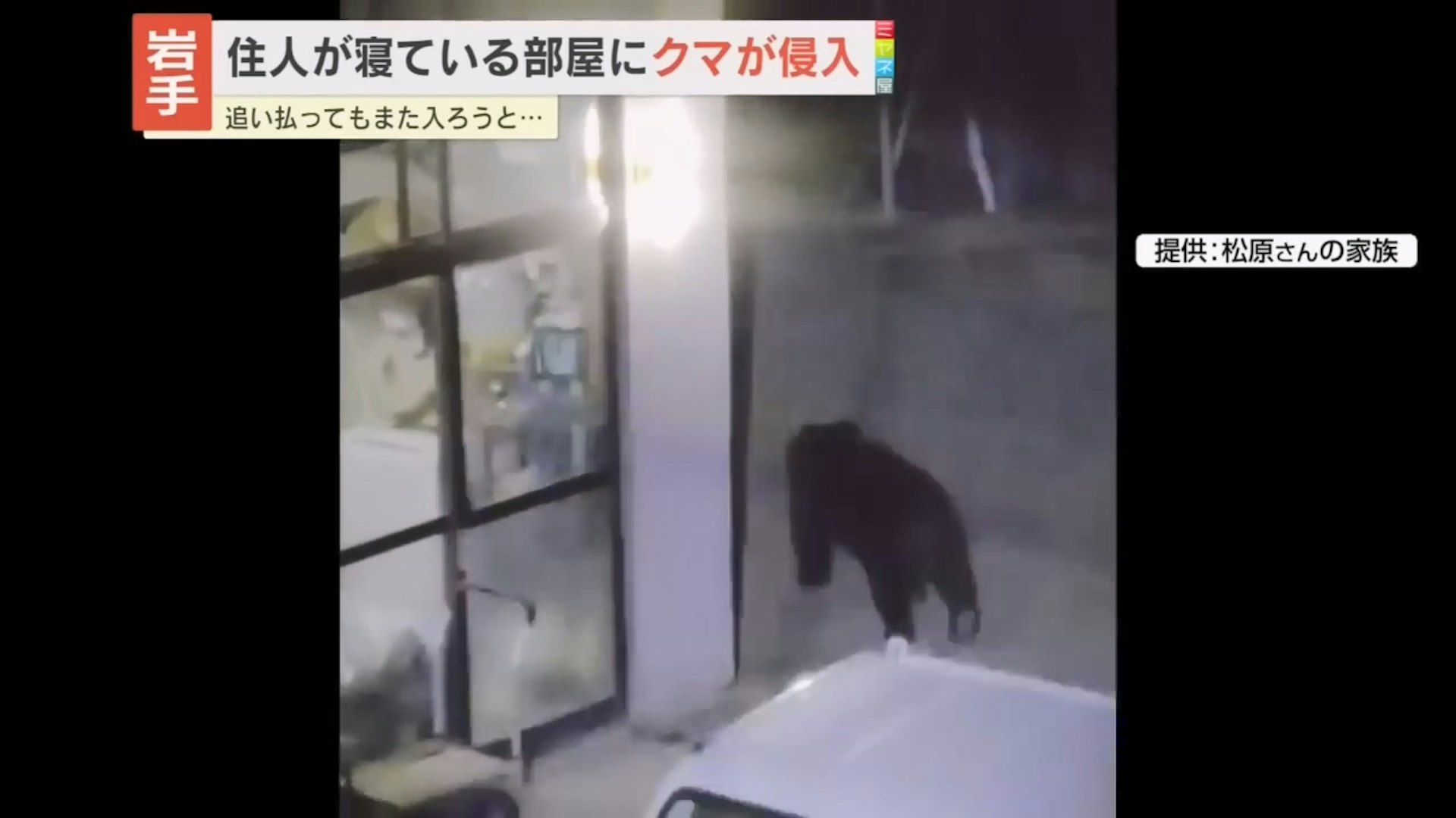 黑熊在住宅入口附近活动