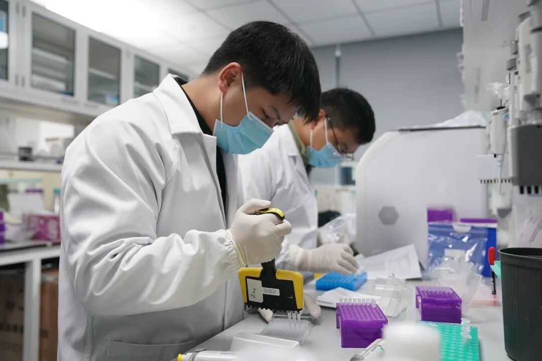 11月20日，在信達生物製藥（蘇州）有限公司，實驗人員在提取信使核糖核酸。（新華社）