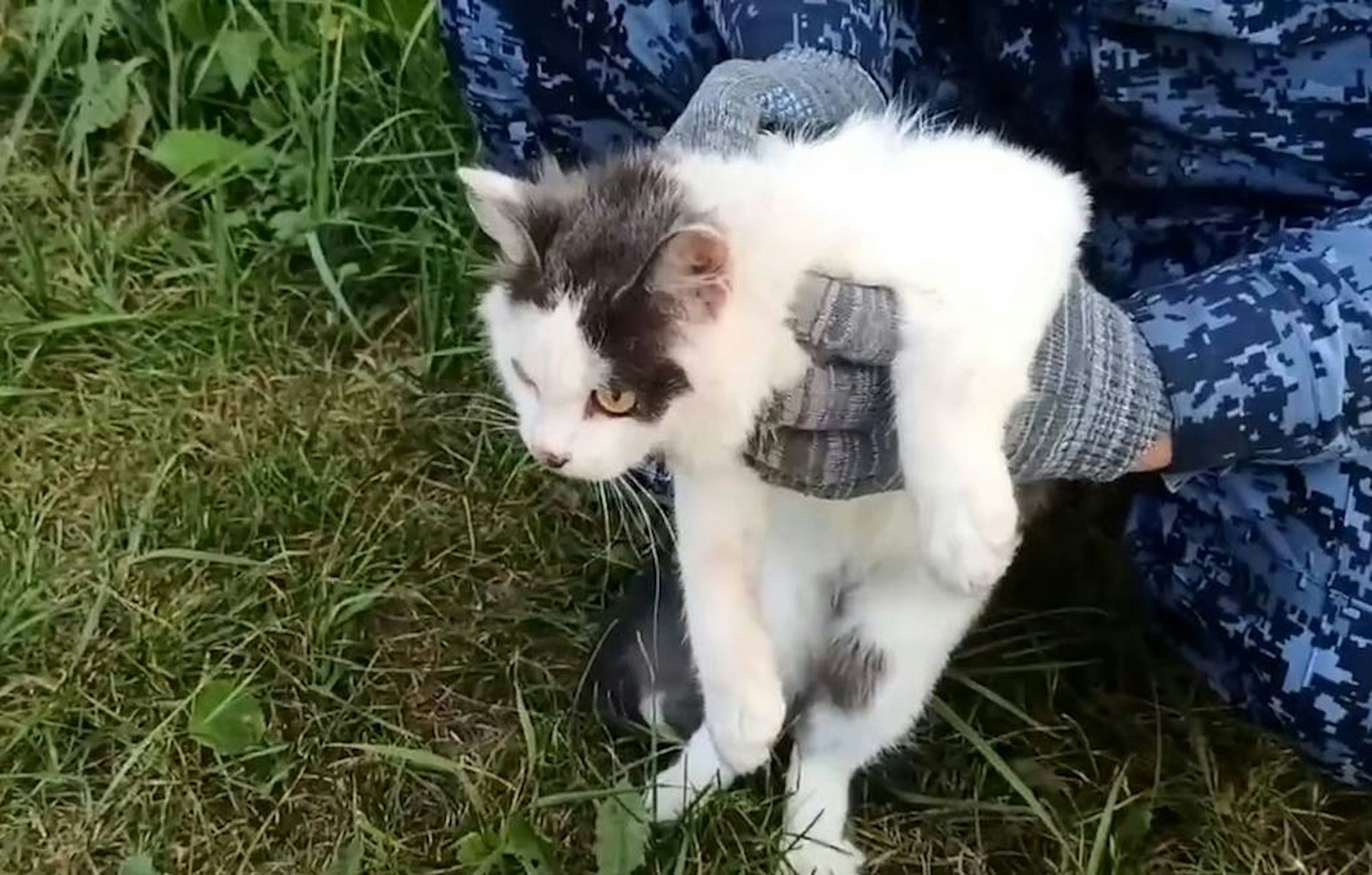 圖檔