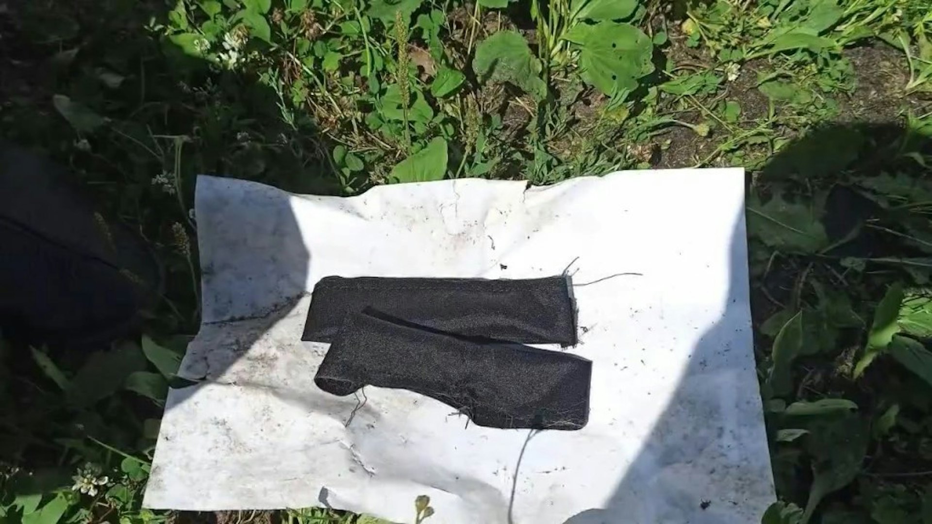 圖檔