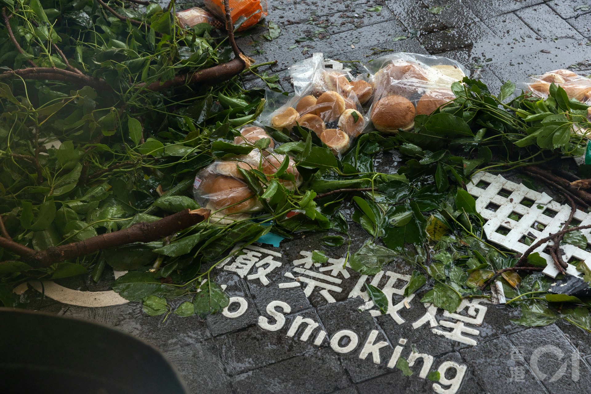 尖沙咀近中午时分8号风球仍生效期间,在尖沙咀天星码头巴士站可见,早上在狂风中送面包员工被吹散的面包,遗留在地上。