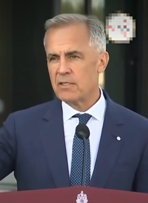 总理马克・卡尼（Mark Carney）则表示不熟悉事件细节，仅称无合法居留权人士须依既定程序处理。（Instagram@kubeirkamal影片截图）