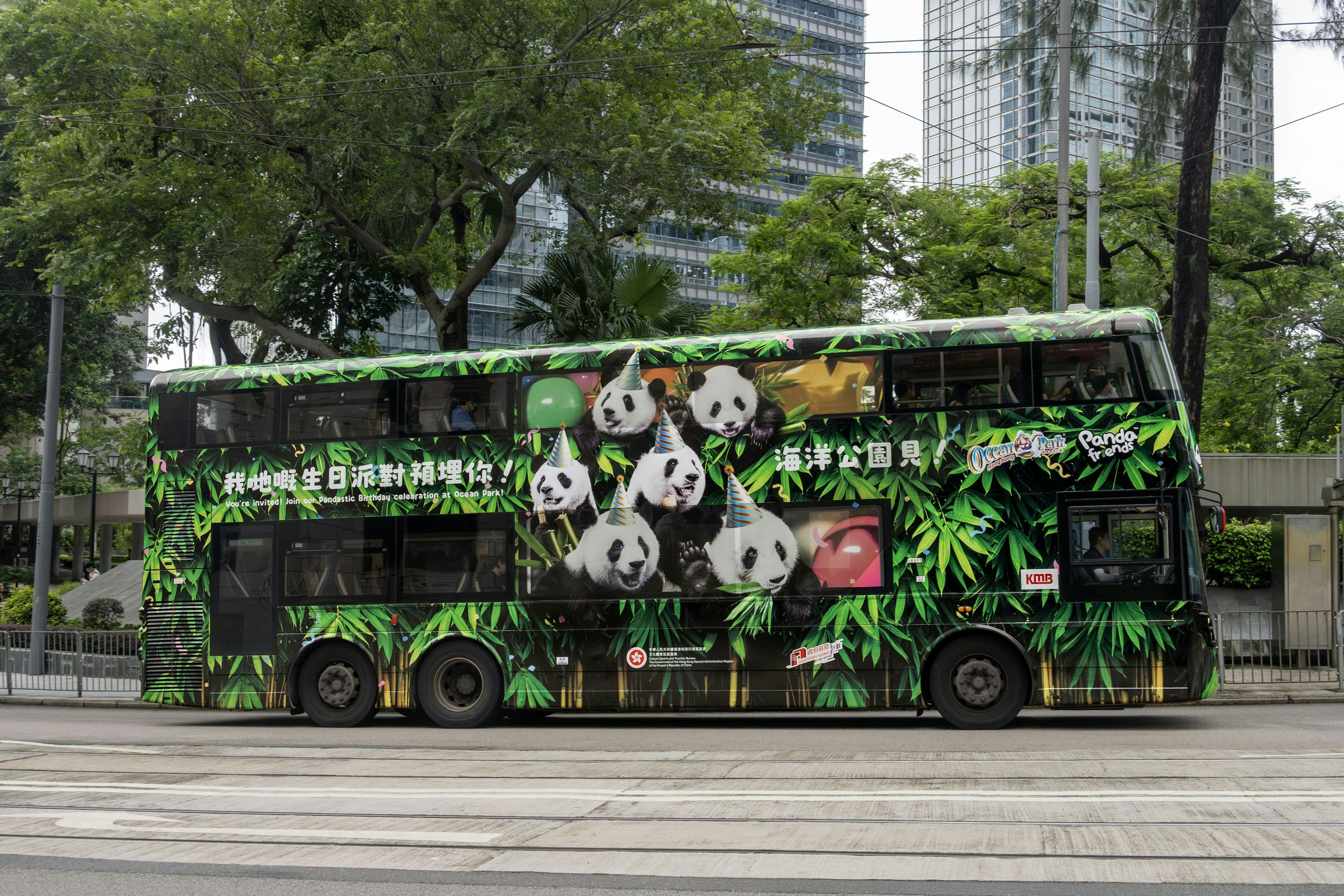 圖檔