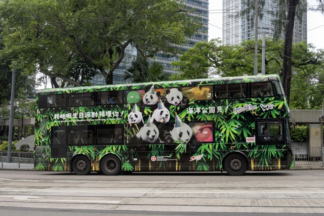 圖檔