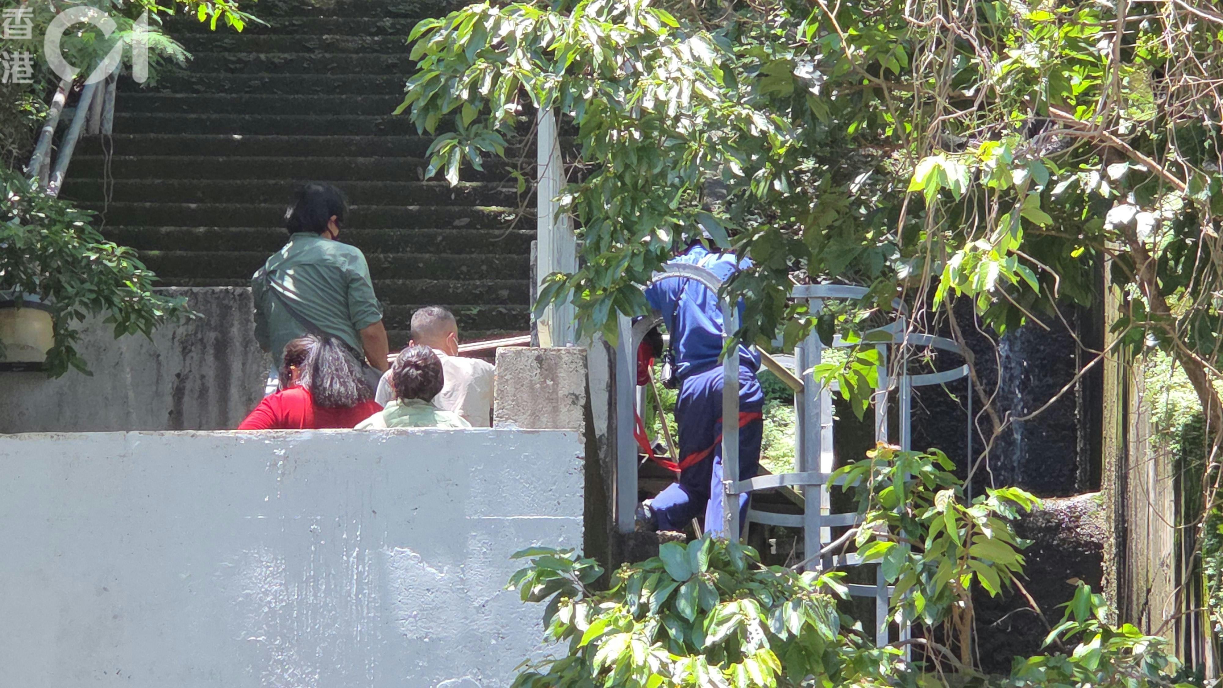 Pok Fu Lam boar rescued from shaft, later euthanised