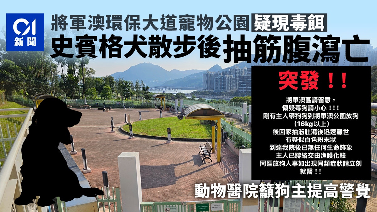 Tseung Kwan O Dog Poisoning Scare: Springer Spaniel Dies After Pet Park Walk