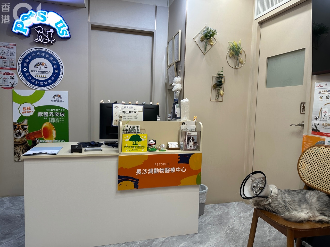https://cdn.hk01.com/di/media/images/dw/20260816/1165717984191188992372596.jpeg/9dgM9DXfqCNSdNsl9IO33dJHnF7nrq5a0Mr6AvXK-gI?v=w960