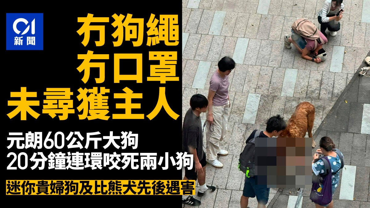 圖檔
