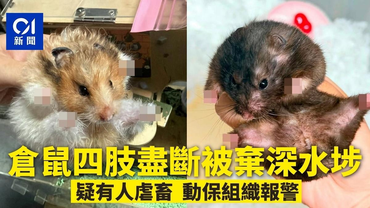 圖檔