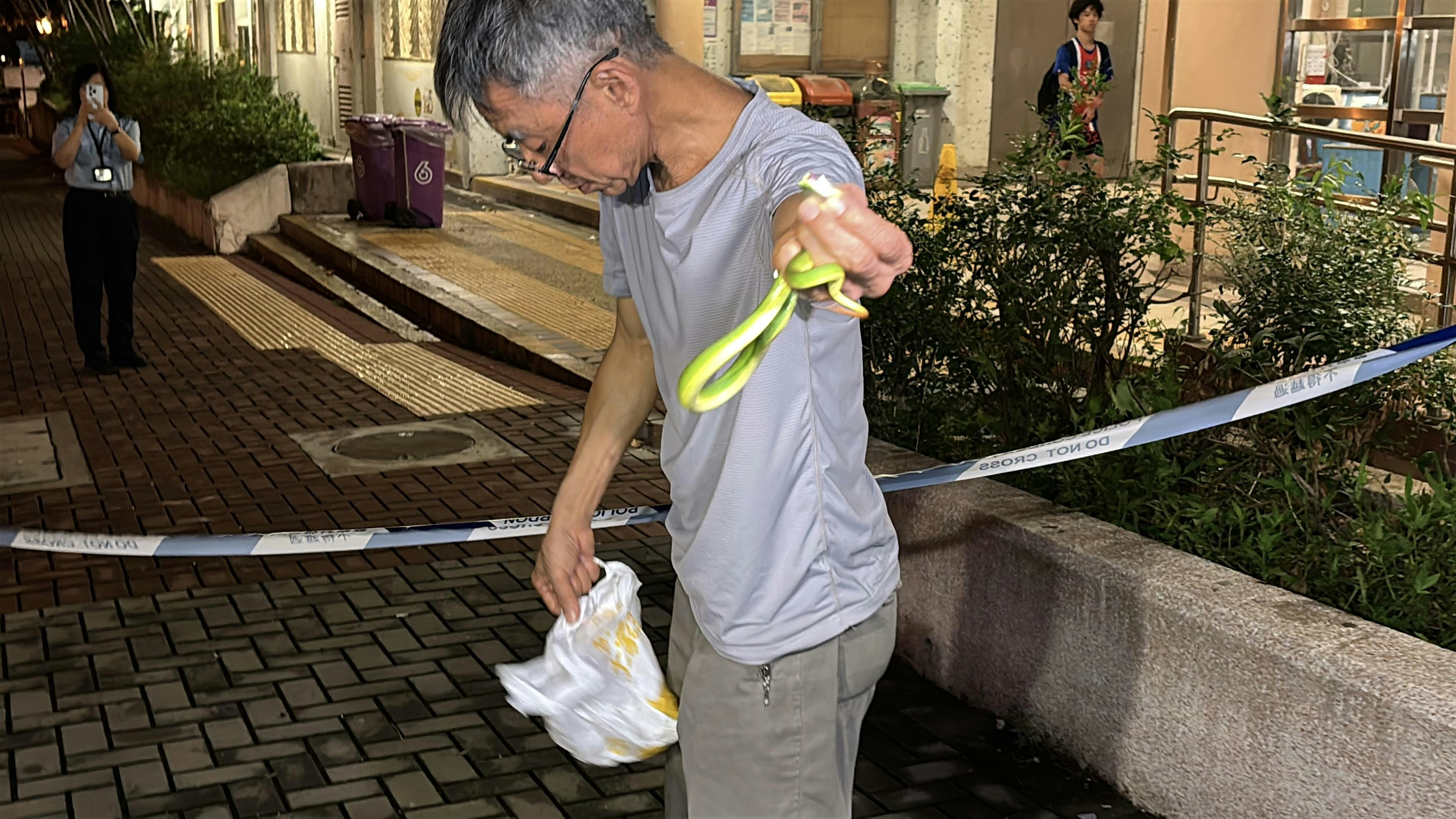 黃大仙橫頭磡邨女途人遭蛇咬腳送院 蛇王到場徒手擒青竹蛇