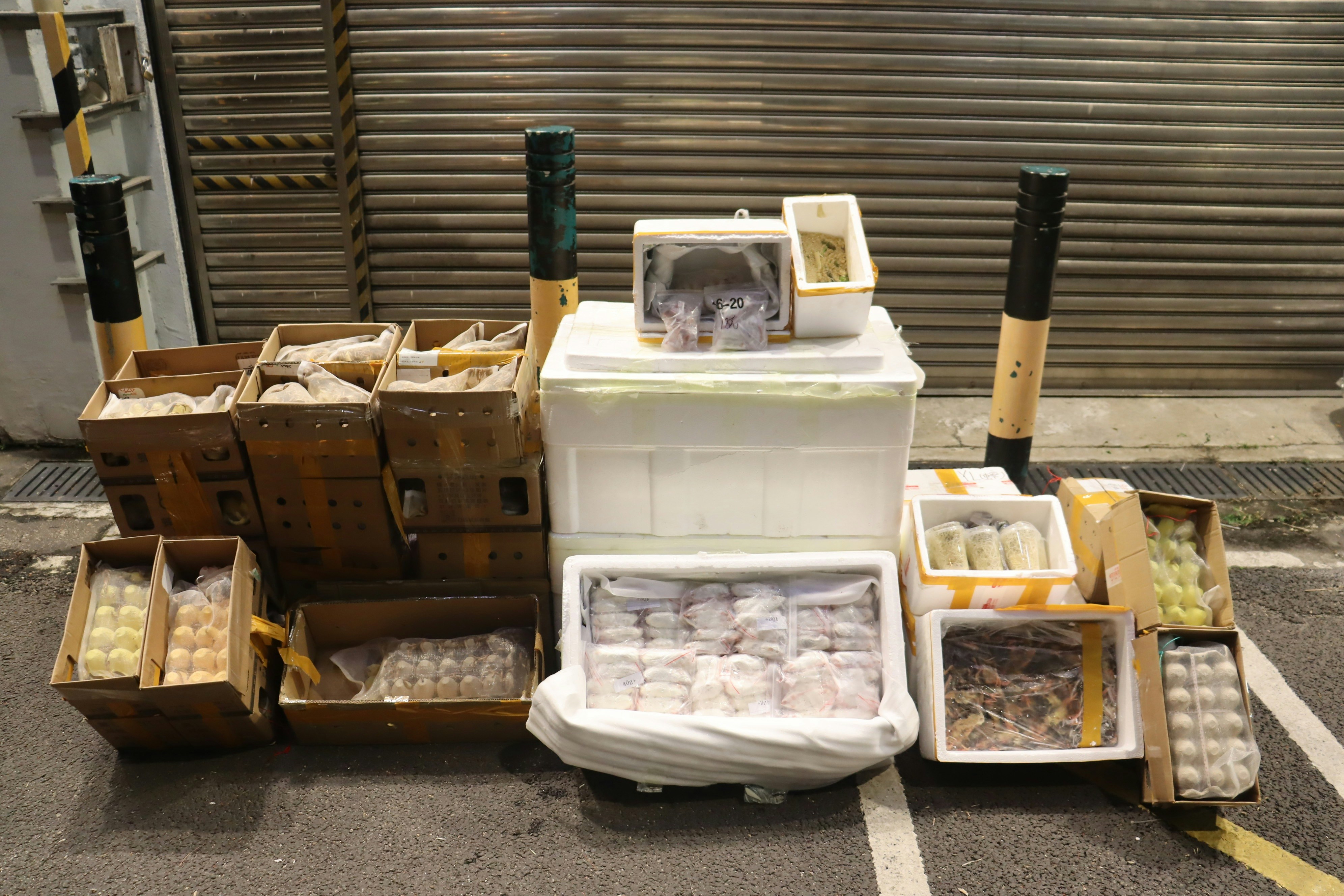 海關文錦渡入境貨車檢118公斤蟑螂及冷藏白老鼠等 疑作寵物食品