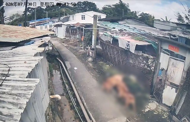 https://cdn.hk01.com/di/media/images/dw/20260822/1167711757729402880931527.jpeg/ROye6BUn2DsF3KJaamjnDUK7OiLqA9WC0KMq-tCjKvo?v=w640