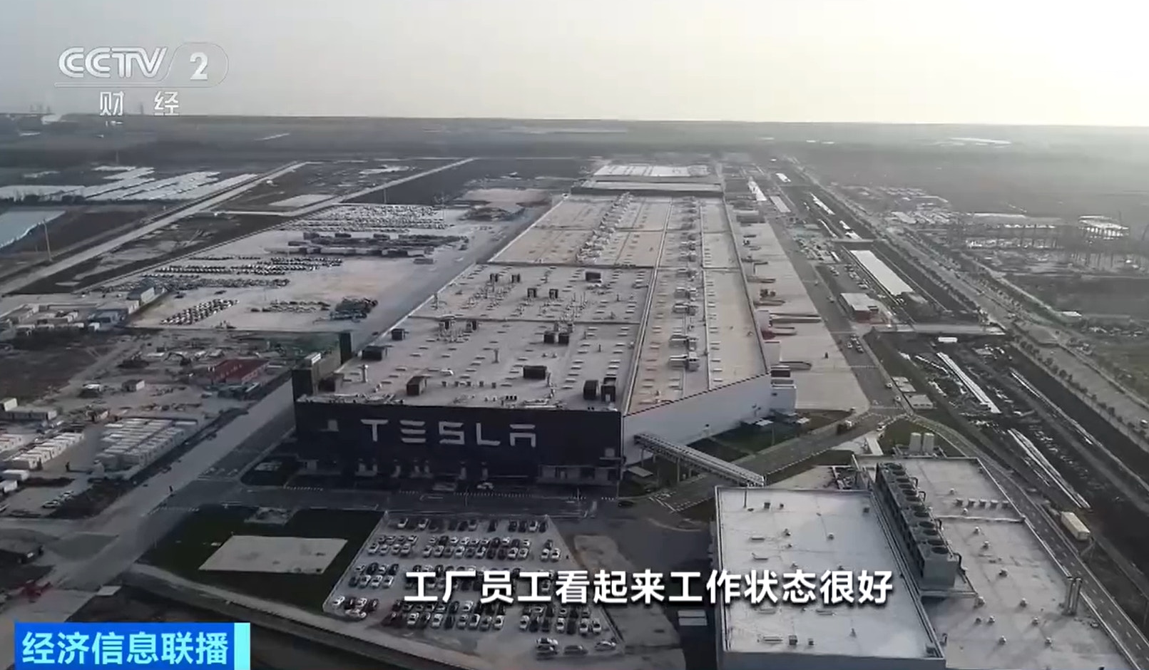 特斯拉(Tesla)行政总裁马斯克(Elon Musk)母亲梅耶(Maye Musk)接受央视采访,提到马斯克非常喜爱中国,她又形容中国人非常有智慧。(《央视财经》)