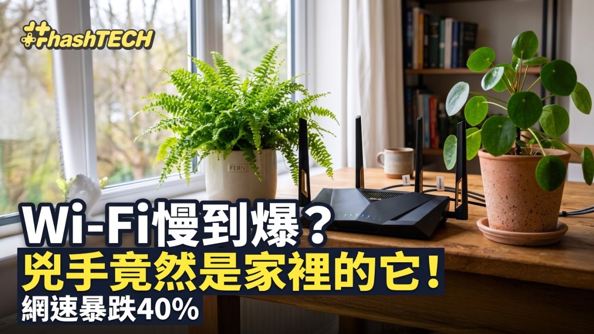 專家揭盆栽吸訊號致Wi-Fi龜速 移開盆栽網速飆升36% 家庭網絡優化新發現