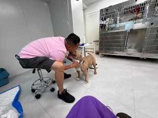 https://cdn.hk01.com/di/media/images/dw/20260828/1170151478535524352013597.jpeg/9jlg4hiGFAKSpSbRs1fq7g3_LXv4SVchGeBayBngWsg?v=w320