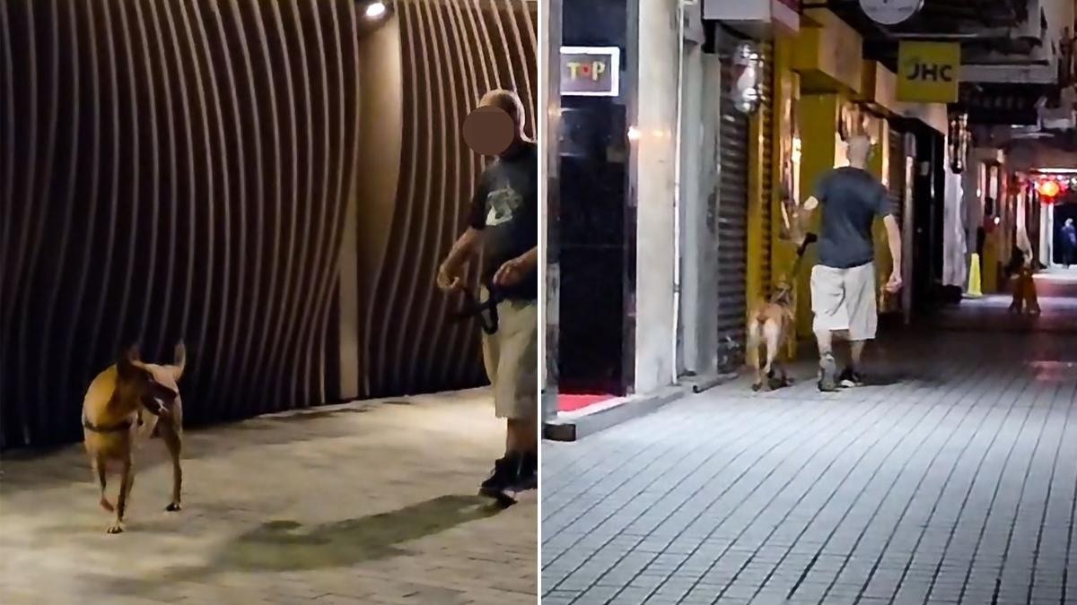 西環老翁疑無牽繩放狗咬傷人 5日後再無戴狗繩遛狗 目擊者報案