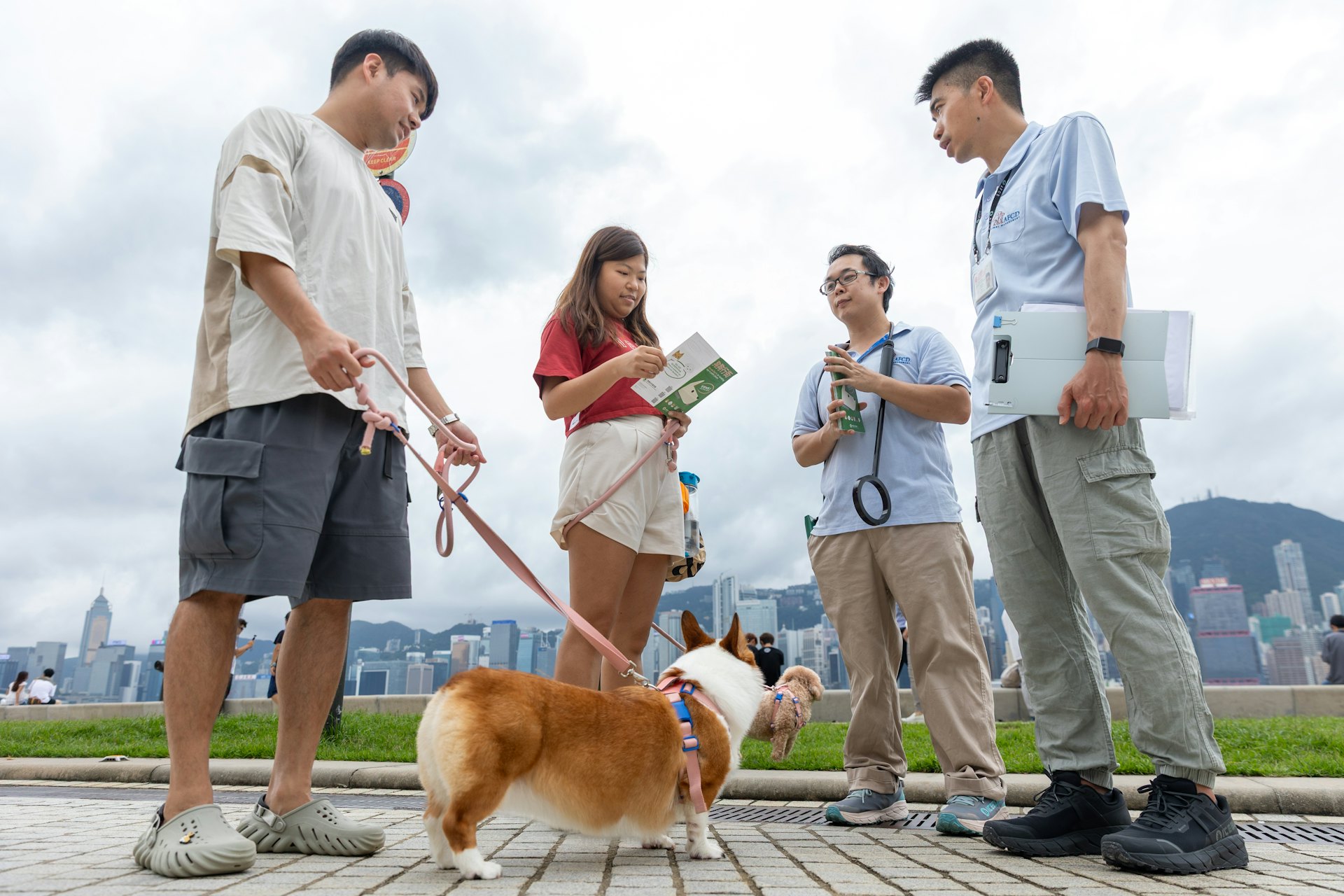 漁護署人員8月30日到西九文化區向巡查及執法行動,並向狗主派發宣傳單張,提醒他們為狗隻戴上狗繩。