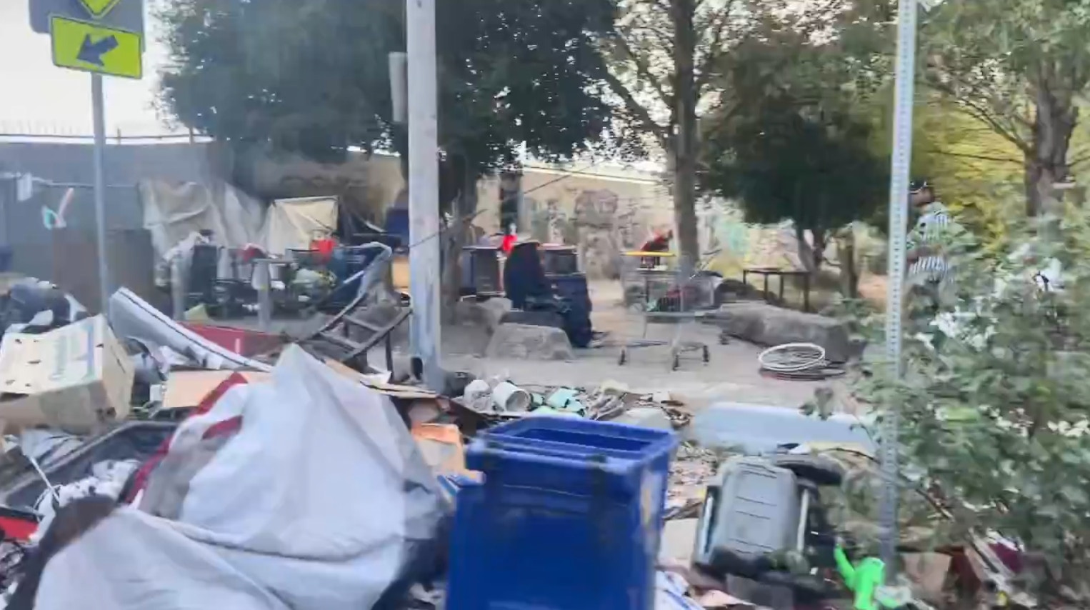加州有妈妈送儿子上大学时拍到满街露宿者的景象,引起热论。(X@RuinZane影片截图)