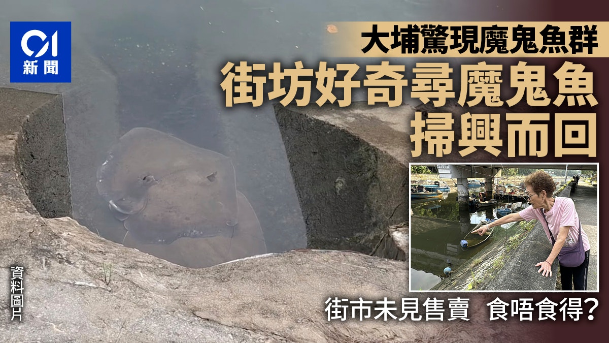 圖檔