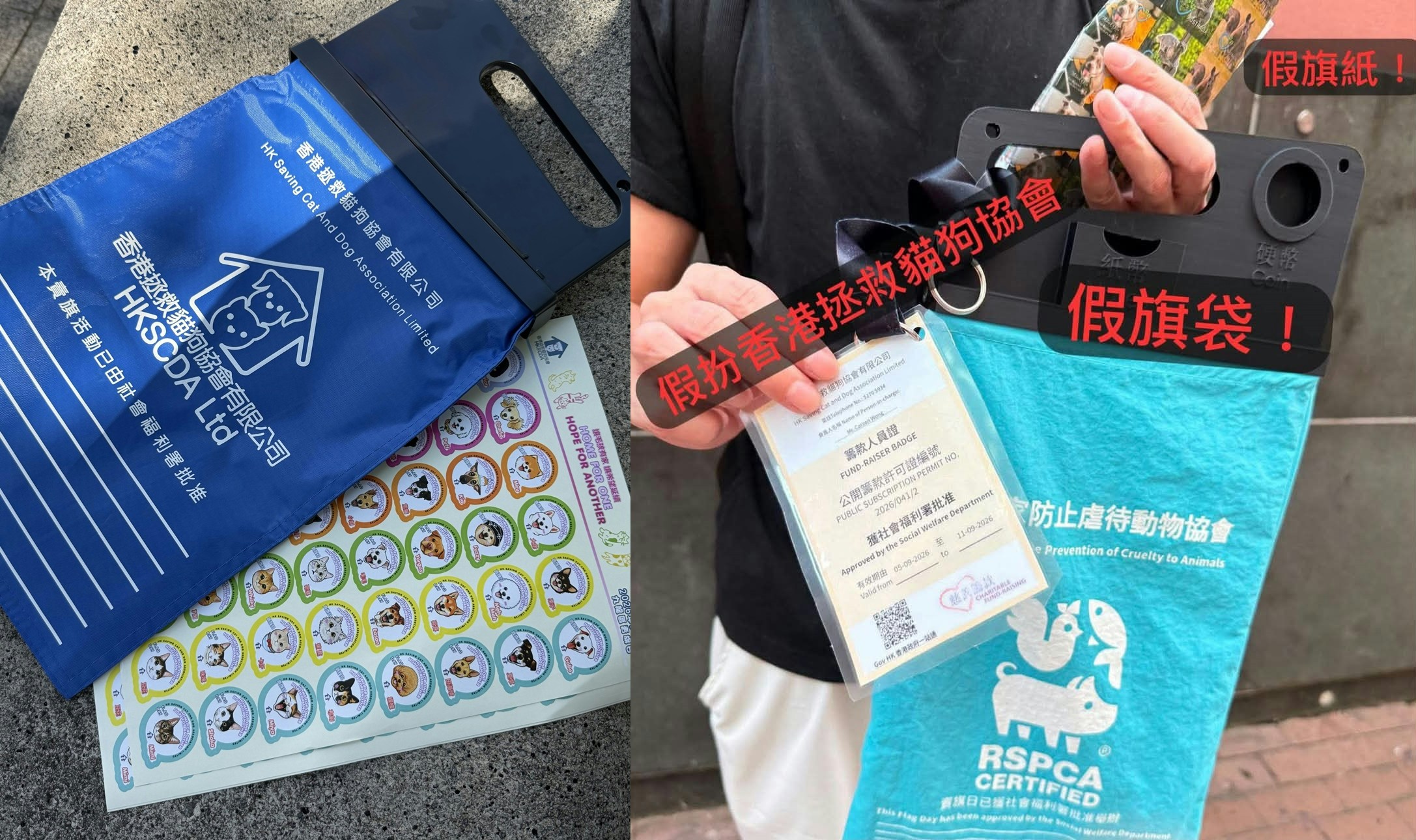 香港拯救貓狗協會疑遭冒充賣旗　揭14人疑墮求職騙局　警拘22歲男