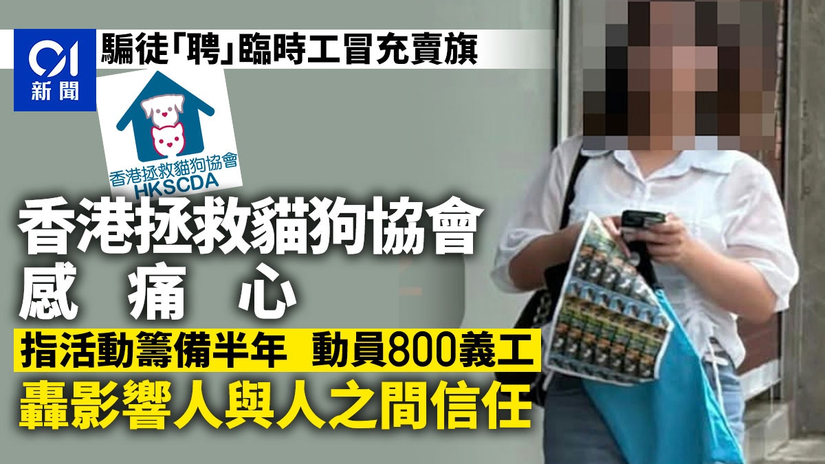 求職騙局冒充拯救貓狗協會賣旗 協會感痛心：籌備半年善心被利用