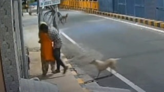 https://cdn.hk01.com/di/media/images/dw/20260908/1173931446948073472158642.png/Alq7cBa2dyYbISAXgMNqiPMVxl7Et6cdUxFMJ1MRTCc?v=w320