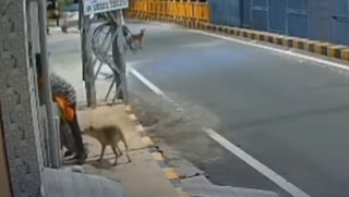 https://cdn.hk01.com/di/media/images/dw/20260908/1173931449326374912017425.png/j2oZ7cb1UOmCnKXxwfHdPmBIxKSwD7iBkum3IJLptyA?v=w320