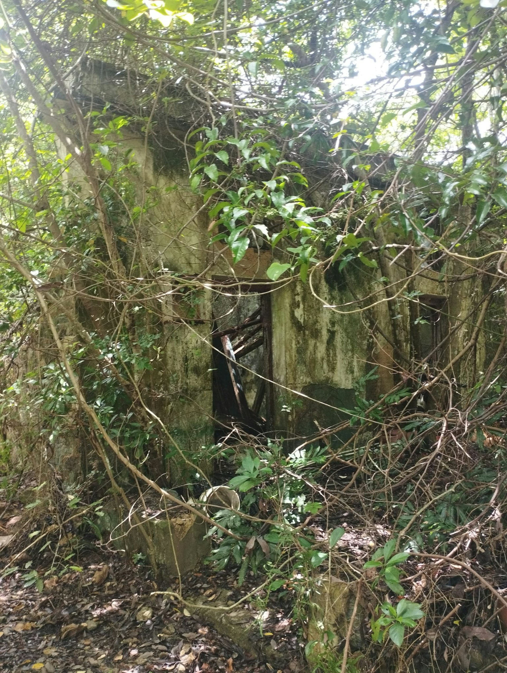 「屋宇」地。(拍賣行提供) 「屋宇」地。(拍賣行提供)