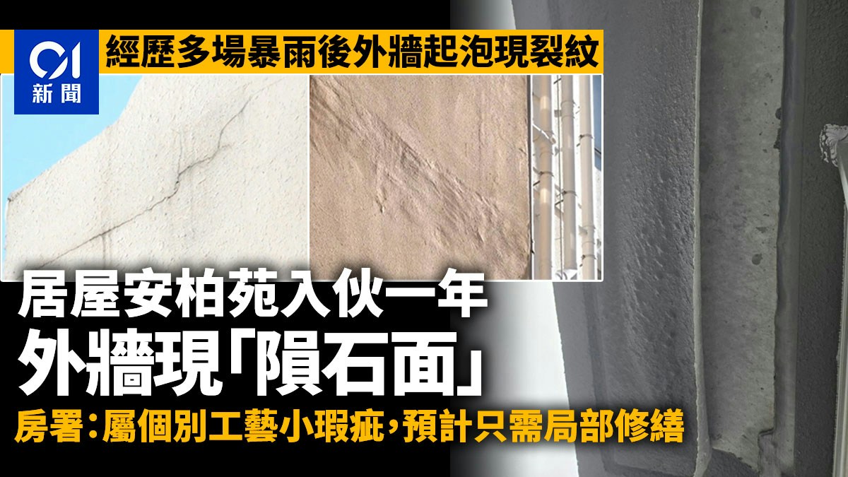 居屋安柏苑入伙一年外牆現「隕石面」　房署：工藝小瑕疵、正修繕