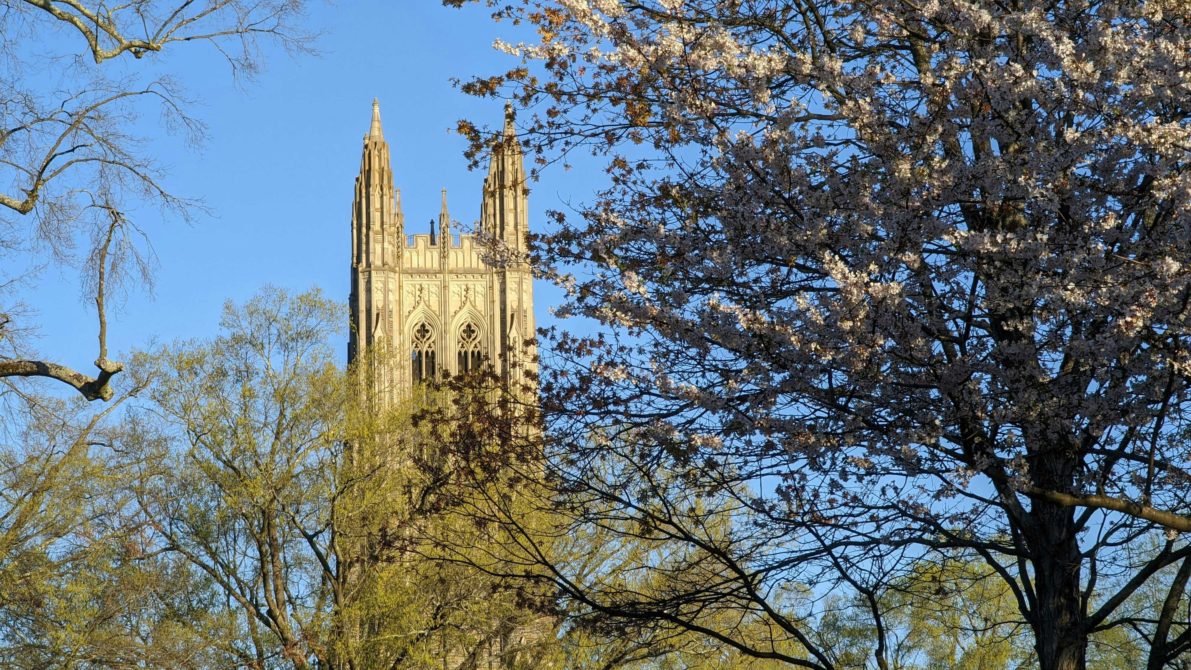 杜克大学(Duke University)今年给本科生开出的年度账单是96,597美元。(charles-givens/unsplash)
