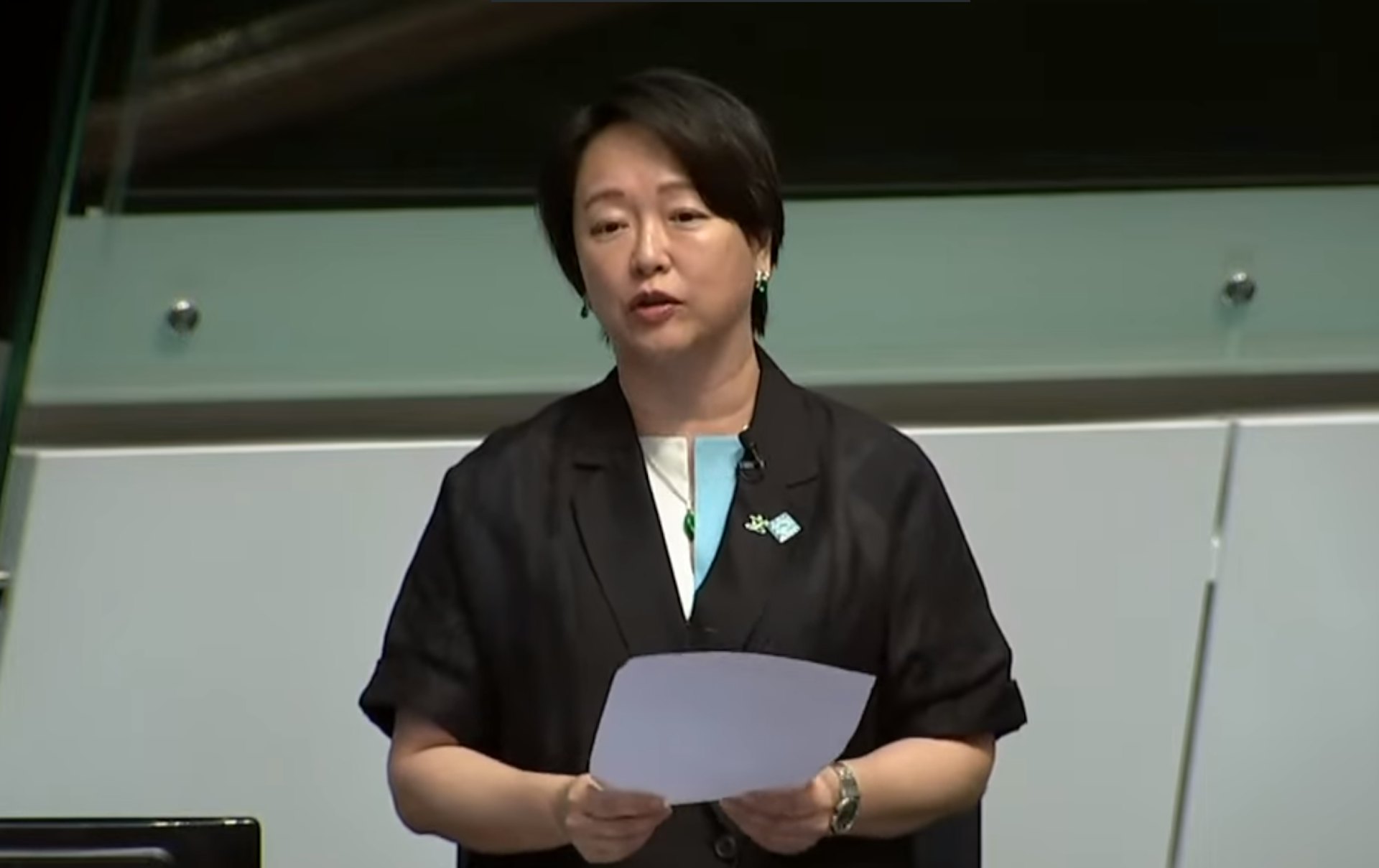 立法会议员文颖怡:专业服务升级,变局中寻求新定位 立法会议员文颖怡:专业服务升级,变局中寻求新定位