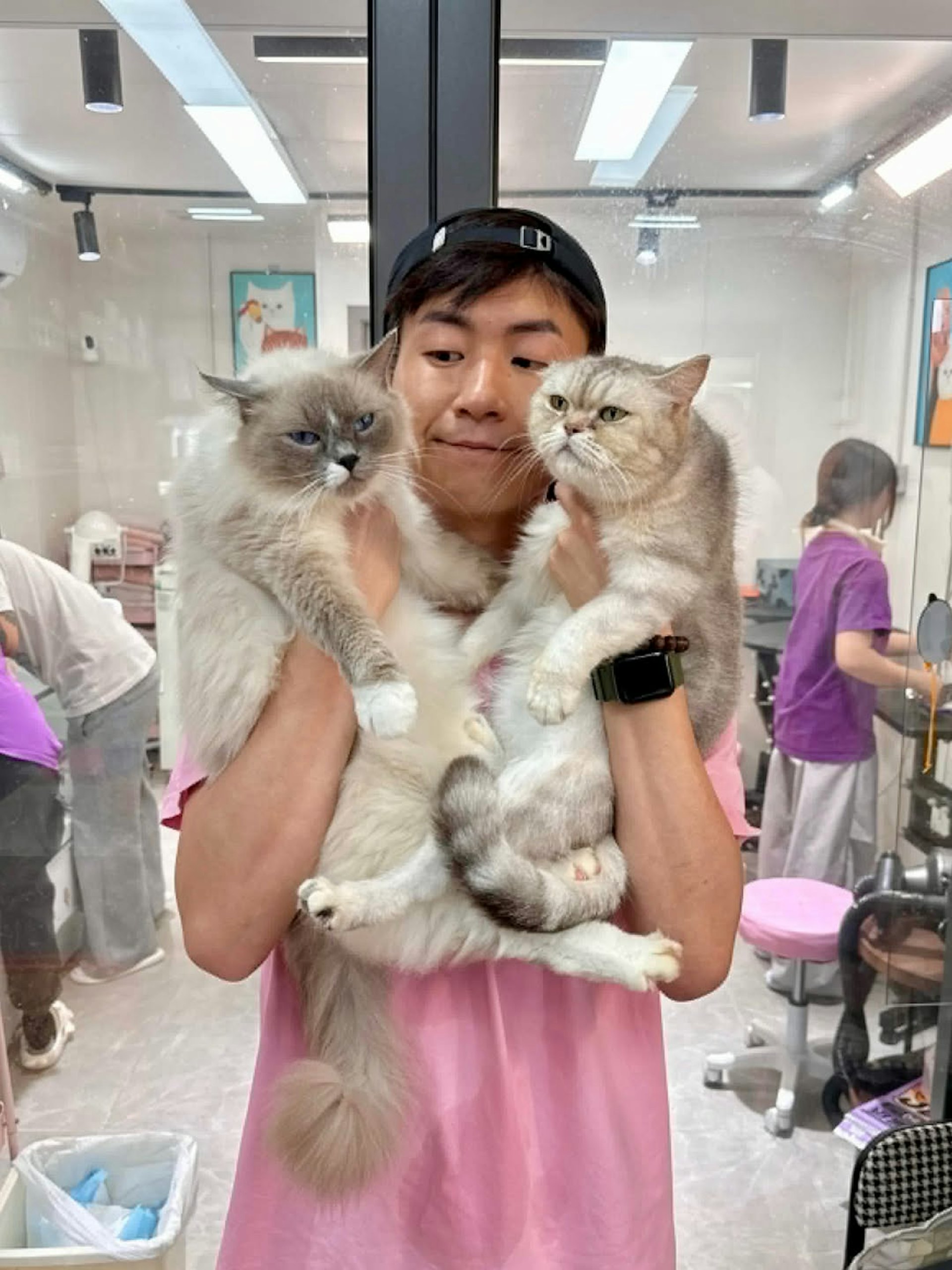 馬貫東與友人合資的寵物美容店亦已成功回本。(IG@maboboma)