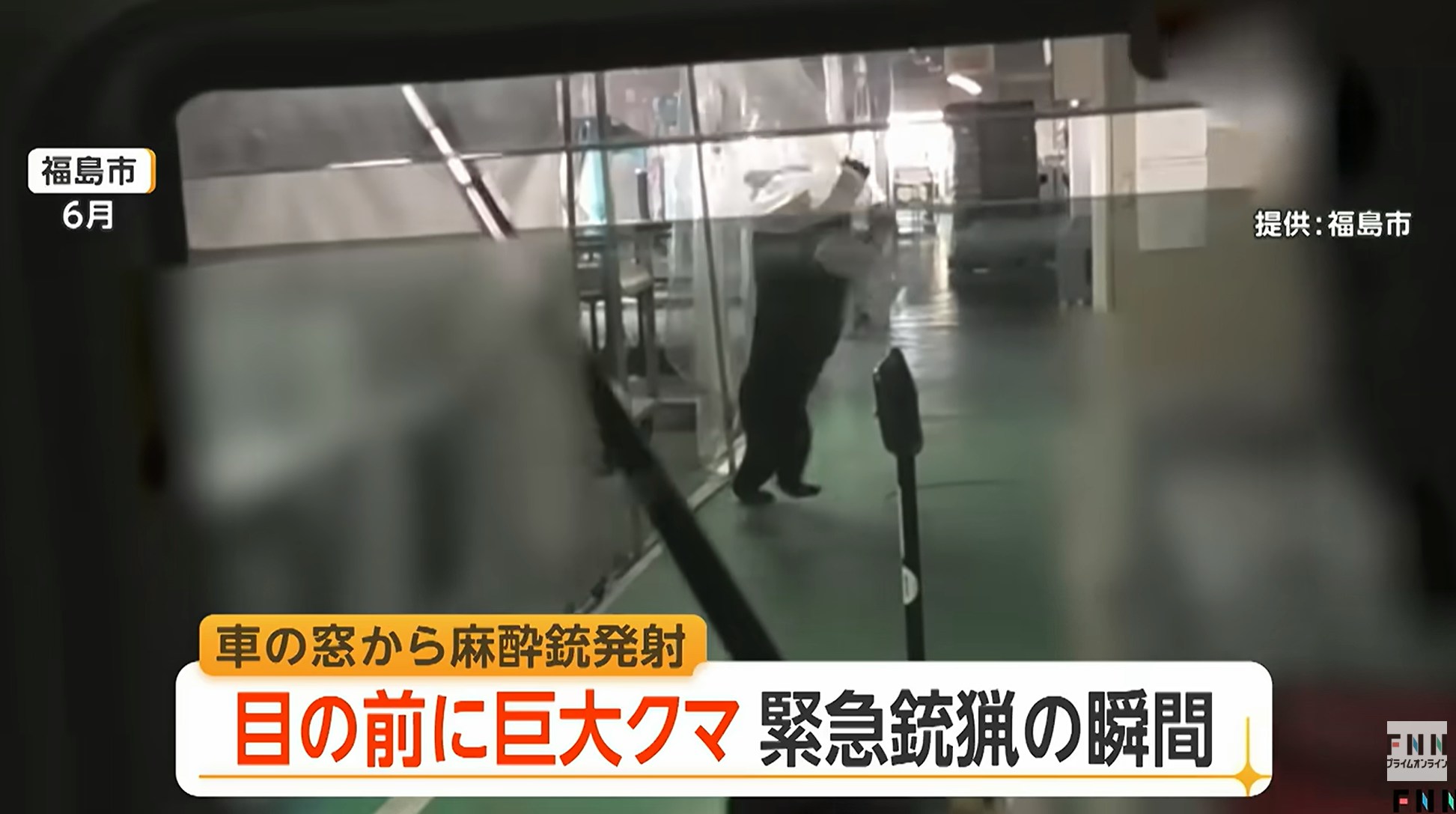 日本福岛市6月一只野生黑熊先后在住宅区与工厂咬伤4名民众其后窜入工厂躲藏。随后,警方与猎人驾车入厂搜索,黑熊突然窜出,疑似用麻醉枪击中后,黑熊却突然凶猛地扑向司机位车窗,场面骇人。(影片截图)