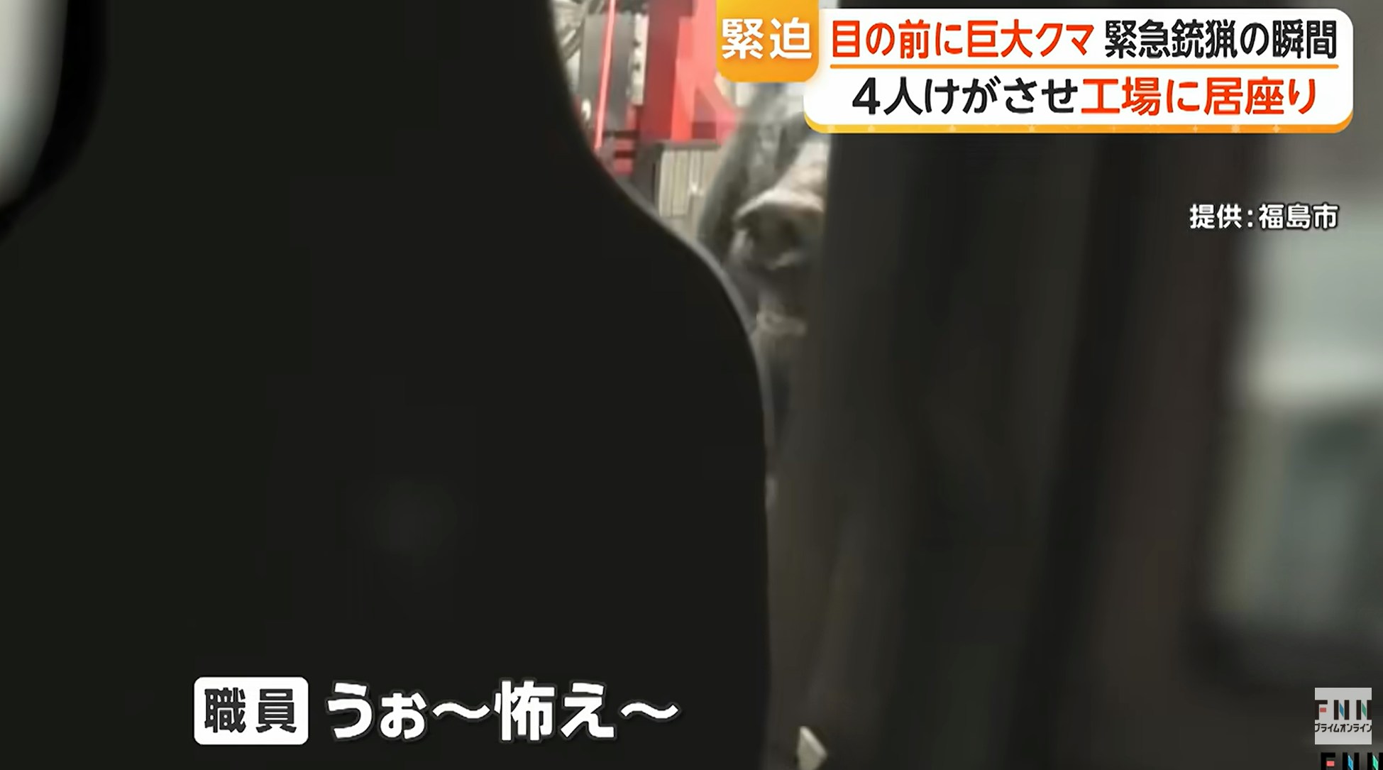 日本福岛市6月一只野生黑熊先后在住宅区与工厂咬伤4名民众其后窜入工厂躲藏。随后,警方与猎人驾车入厂搜索,黑熊突然窜出,疑似用麻醉枪击中后,黑熊却突然凶猛地扑向司机位车窗,场面骇人。(影片截图)
