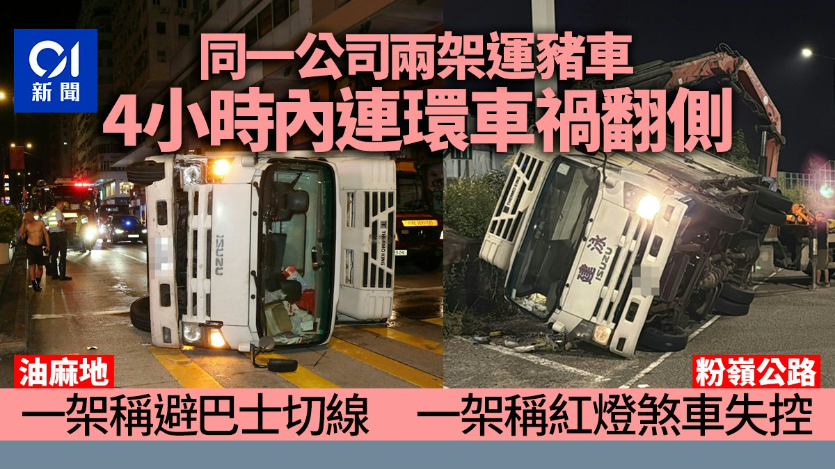 油麻地運豬車撞欄翻側 司機自行爬出 一日兩宗運豬車翻側車禍