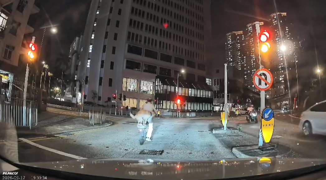 有片｜美孚單車男載狗違規衝紅燈　片主讚狗狗企車尾：平衡力好好