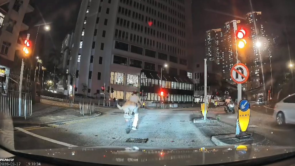 有片|美孚單車男載狗違規衝紅燈 片主讚狗狗企車尾:平衡力好好