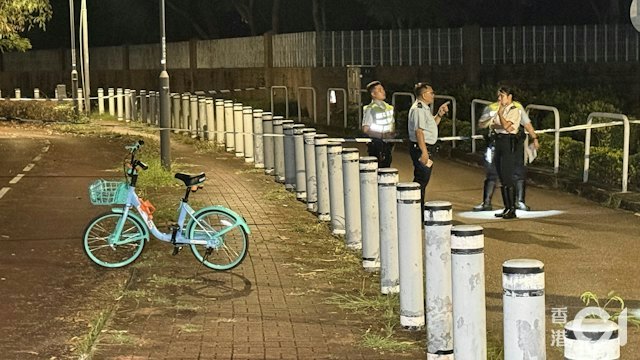 元朗疑狗咬死人|訓犬師:保持冷靜別尖叫 如跌倒抱頭捲身護頭頸