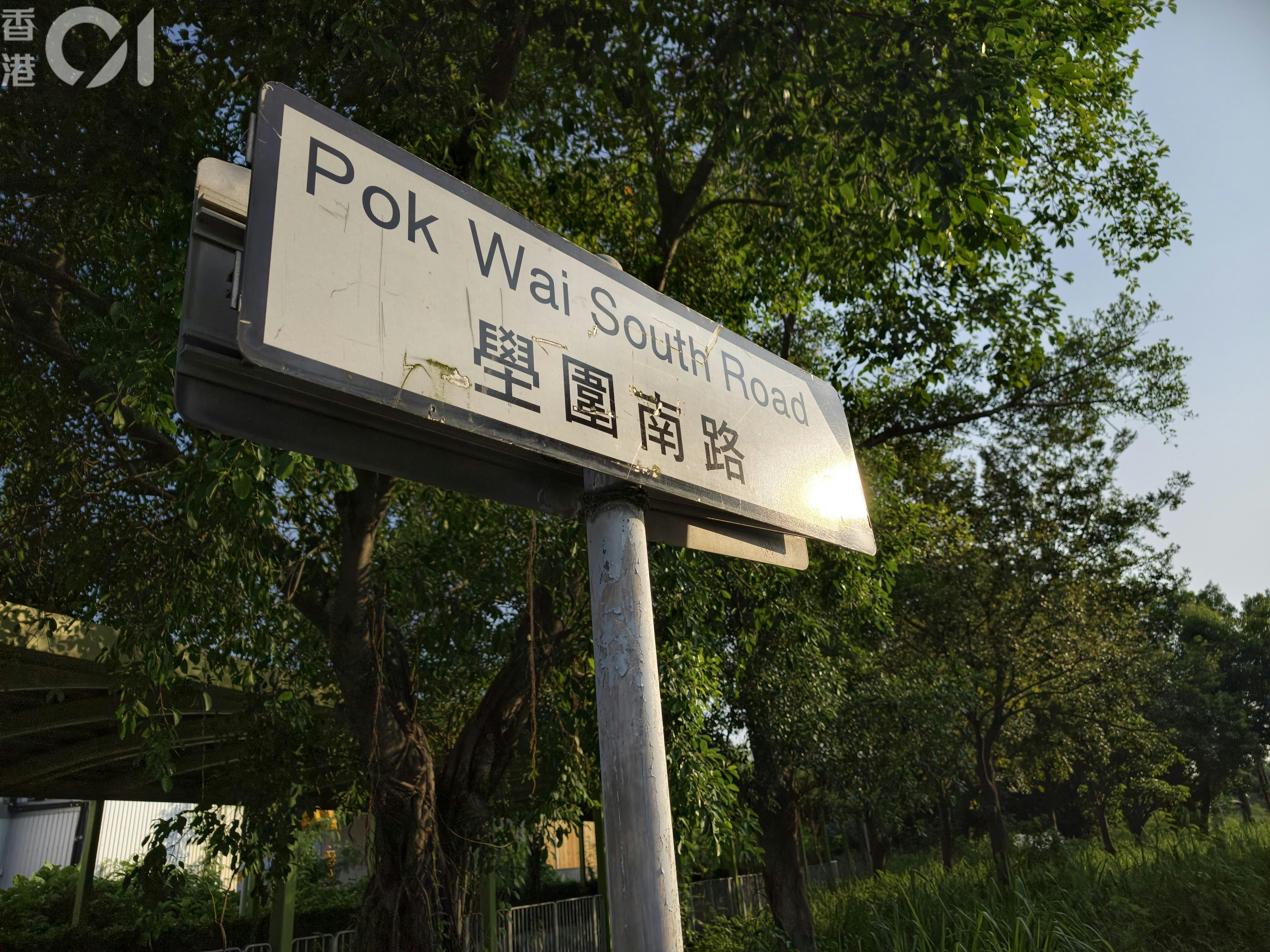 元朗疑狗咬死人｜議員促徹查如證有人飼養　狗主須承擔法律責任