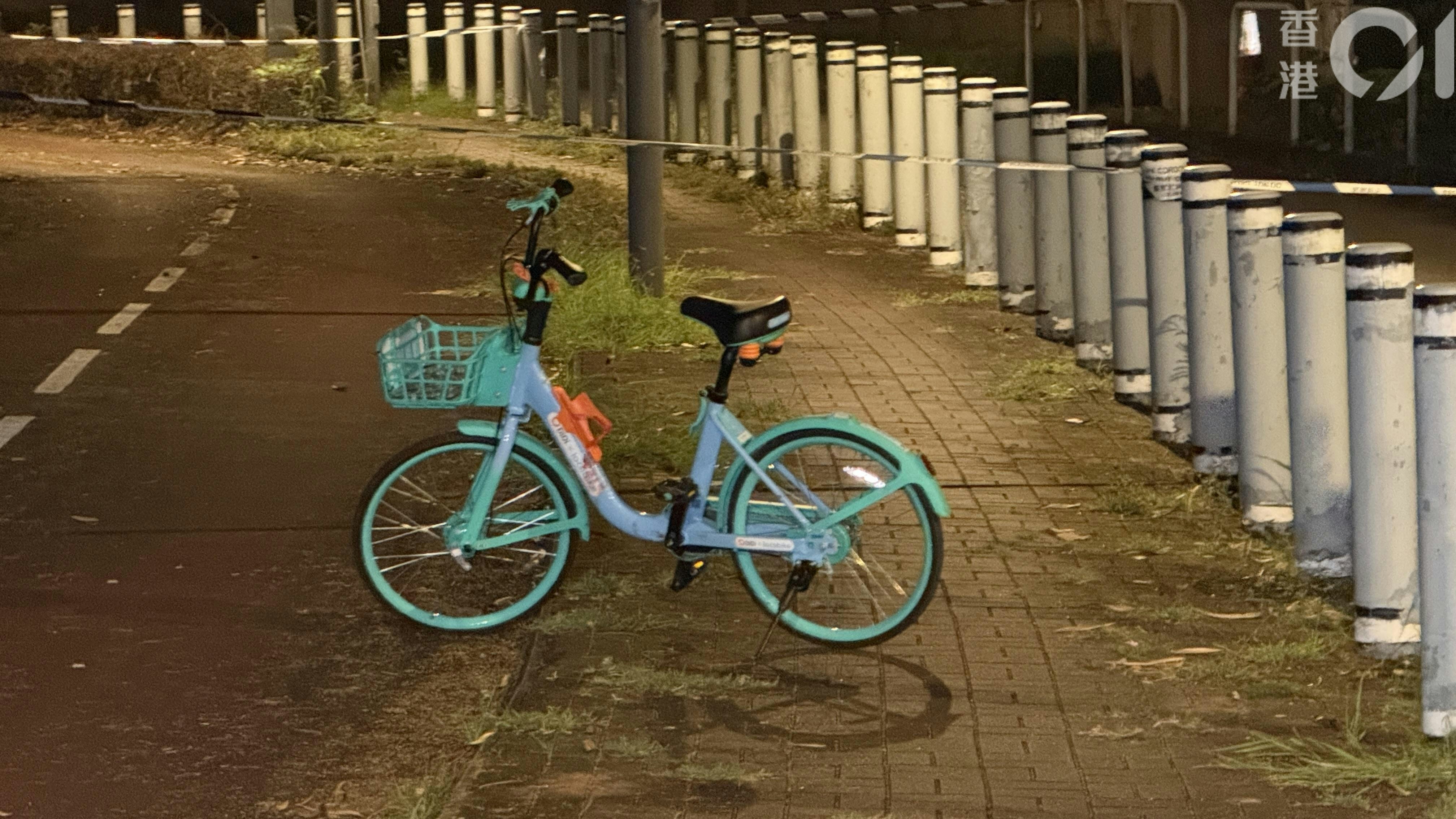 元朗疑狗咬死人｜倉狗零絕育遭棄街頭　動保組織批撲殺治標不治本