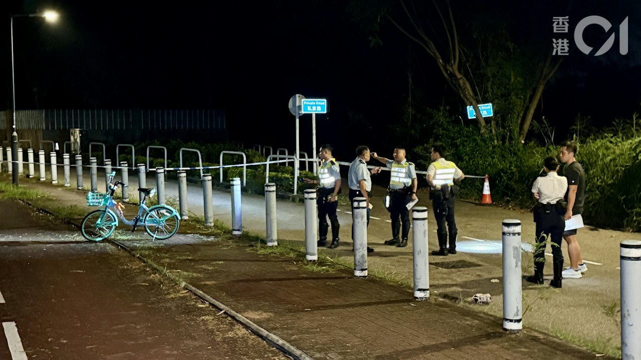 元朗疑狗咬死人|漁護署:將聯警方於涉事地點 捕捉無人看管狗隻
