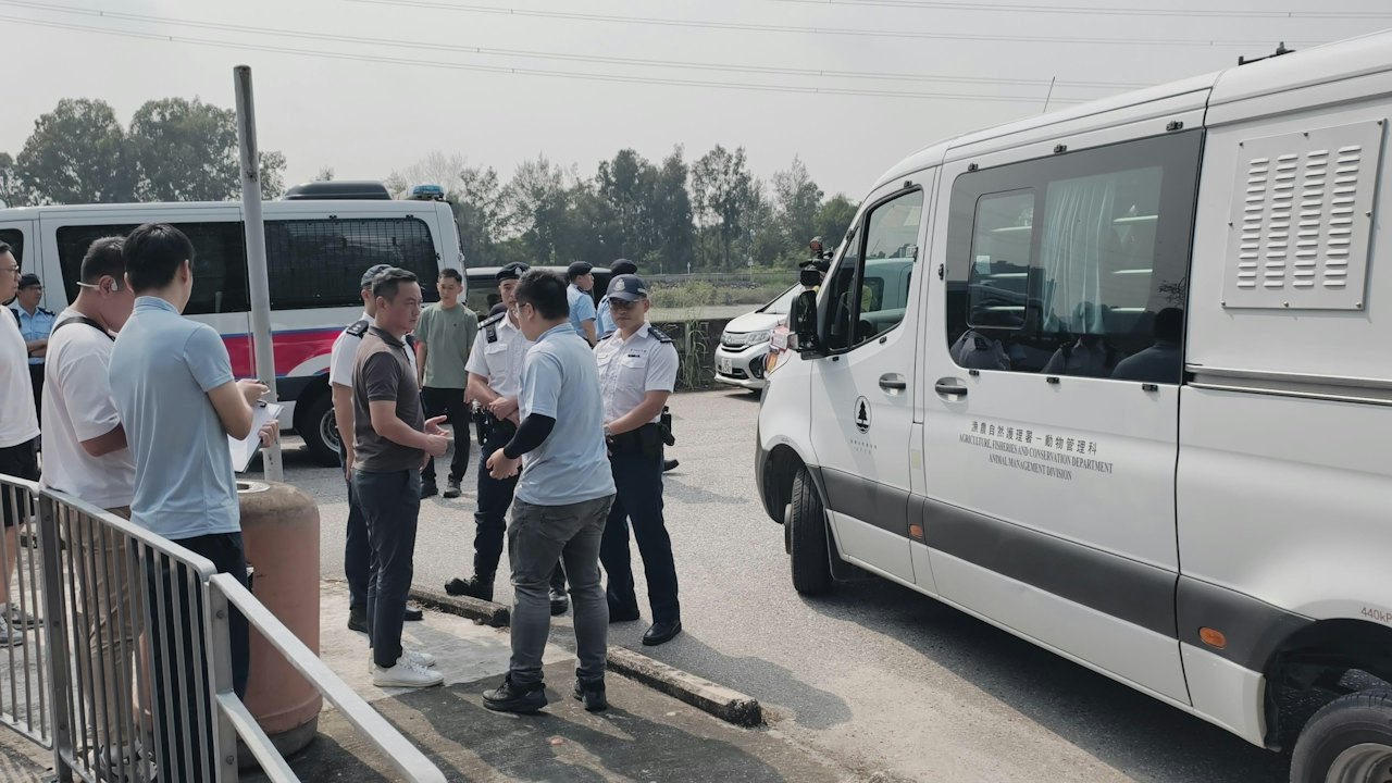 元朗疑狗咬死人|警與漁護再聯合行動 返現場續搜捕無人看管狗隻