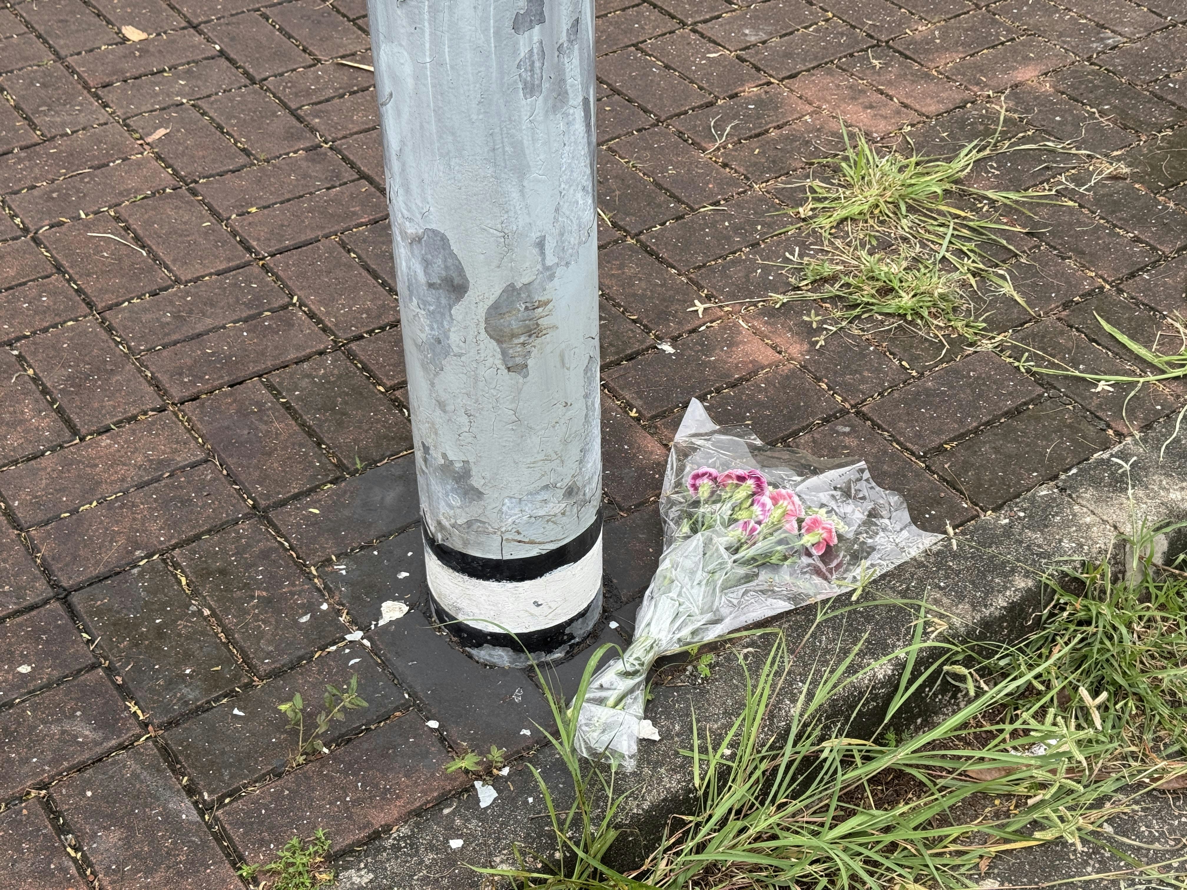 元朗疑狗咬死人｜27歲女倒斃壆圍南路　有市民在路旁獻花悼念