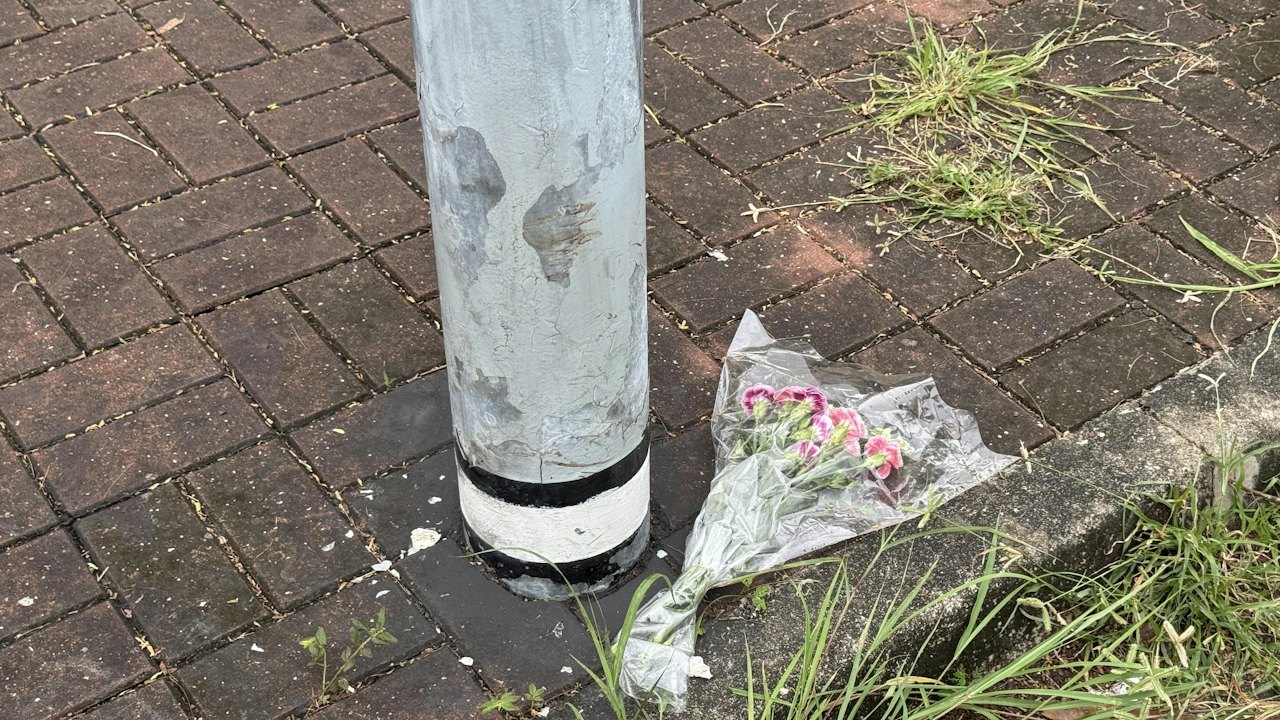 元朗疑狗咬死人|27歲女倒斃壆圍南路 有市民在路旁獻花悼念