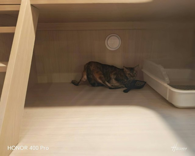 https://cdn.hk01.com/di/media/images/dw/20260922/1179195443456774144375092.jpeg/GOr9bRwDy3R0GLZ1bFrkh94EOWpwMfBv-6cmivunJoo?v=w640