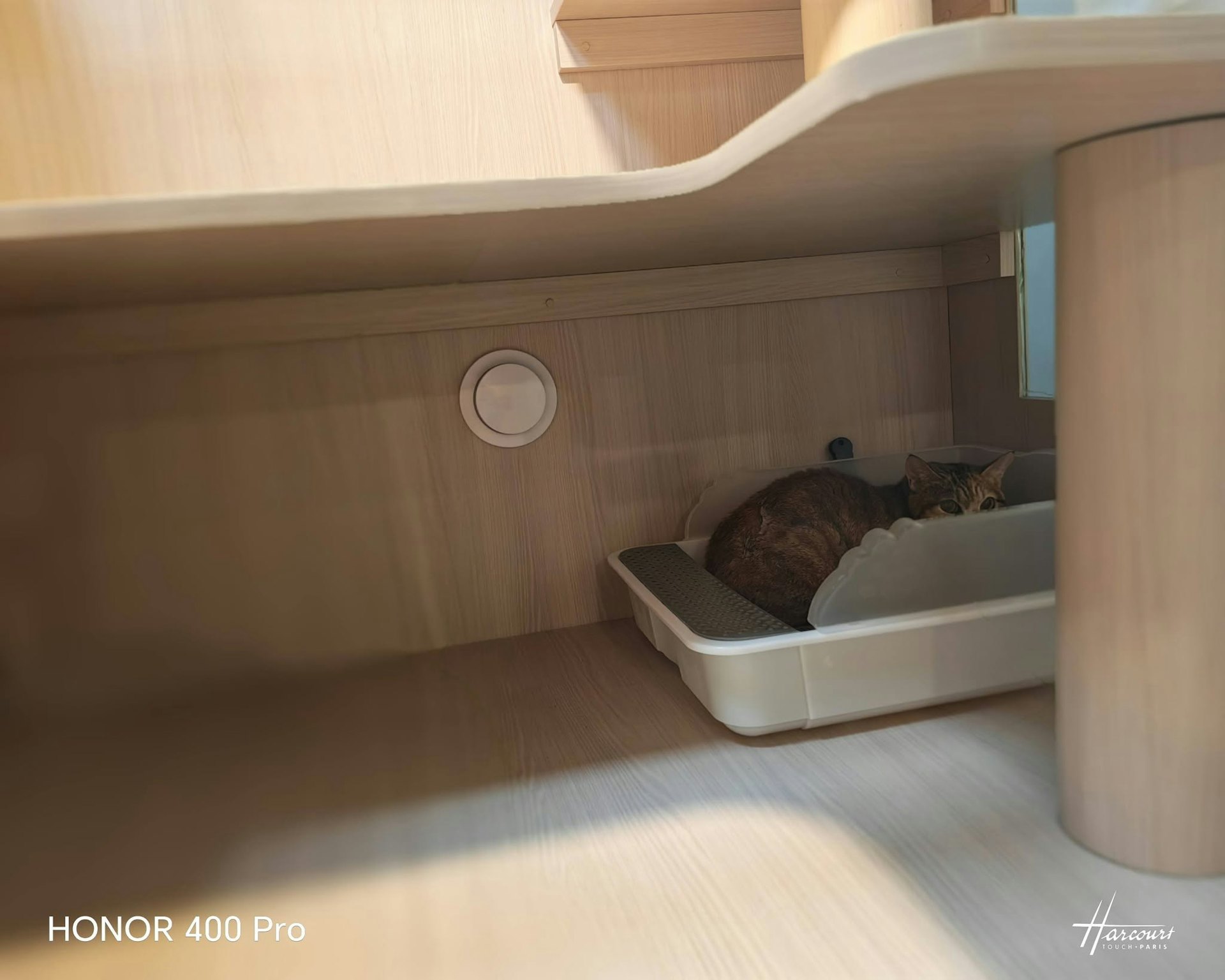 https://cdn.hk01.com/di/media/images/dw/20260922/1179195828347211776874153.jpeg/M79oTW9yeHlZ3IPUADCx2-KdymxQi-cwN7bFjDe2xYw?v=w1920