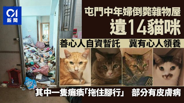 https://cdn.hk01.com/di/media/images/dw/20260922/1179210357474856960678315.jpeg/UQBQs74SM3YIxZ1rpSGsnUkvszh6UBTMlXBxCZVwcQk?v=w640r16_9