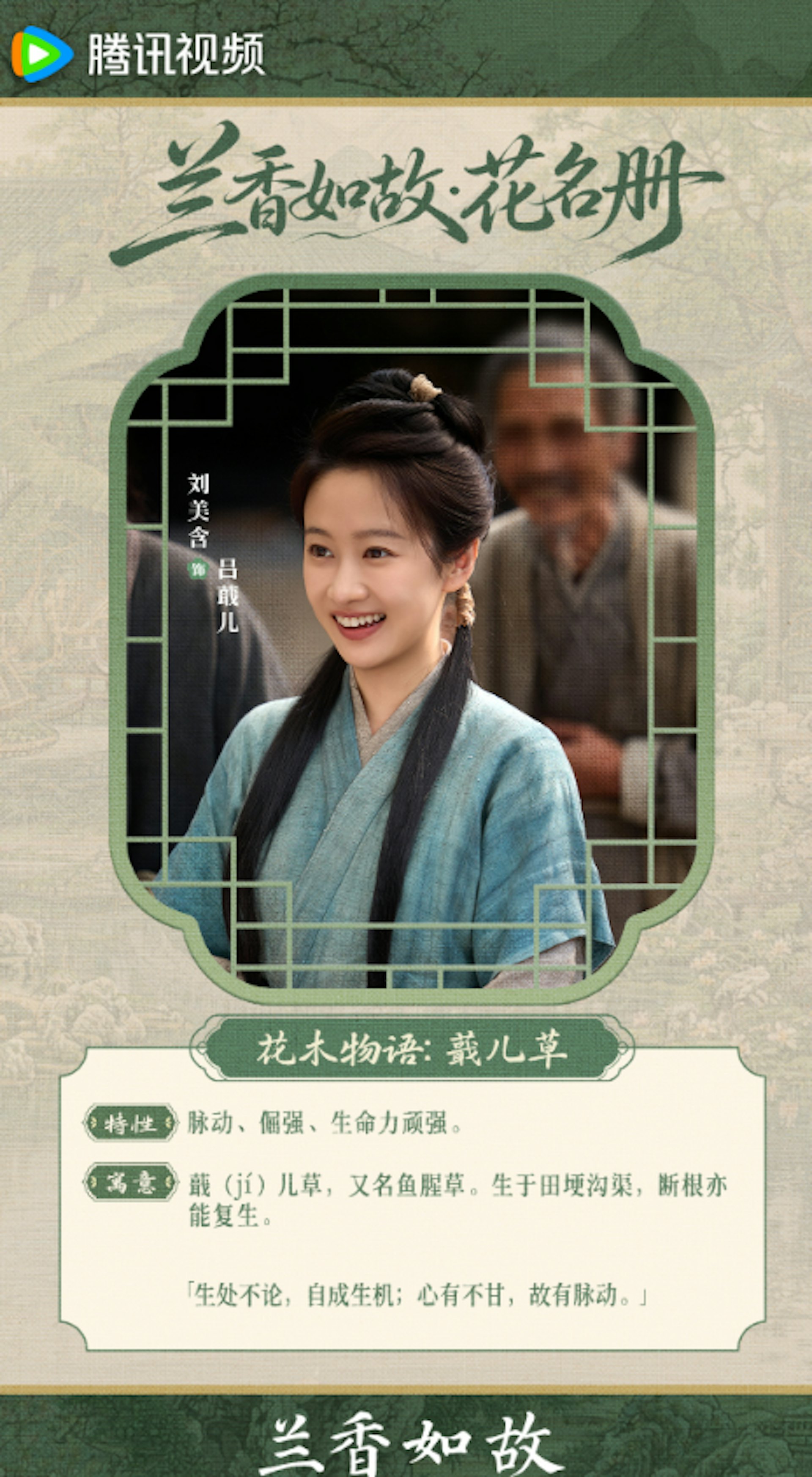 由劉美含飾演的丫鬟「呂蕺兒」,名字中的「蕺草」即生命力頑強的魚腥草,象徵即便身處低谷依然能如野草般逢生。(微博@電視劇蘭香如故)
