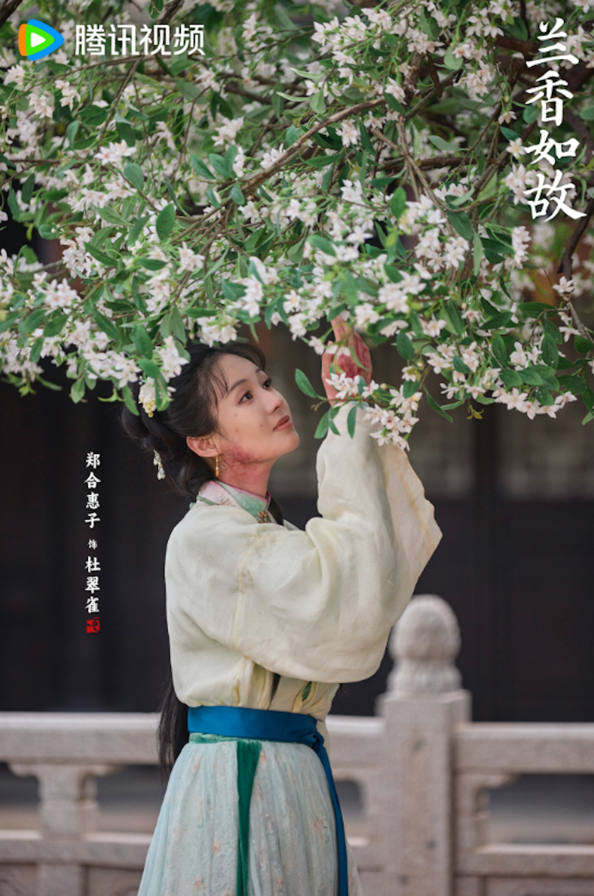 鄭合惠子飾演的「杜翠雀」,取材自全株含有劇毒生物鹼的藍紫色翠雀花,預示其外表嬌美、實則野心勃勃的性格。(微博@電視劇蘭香如故)