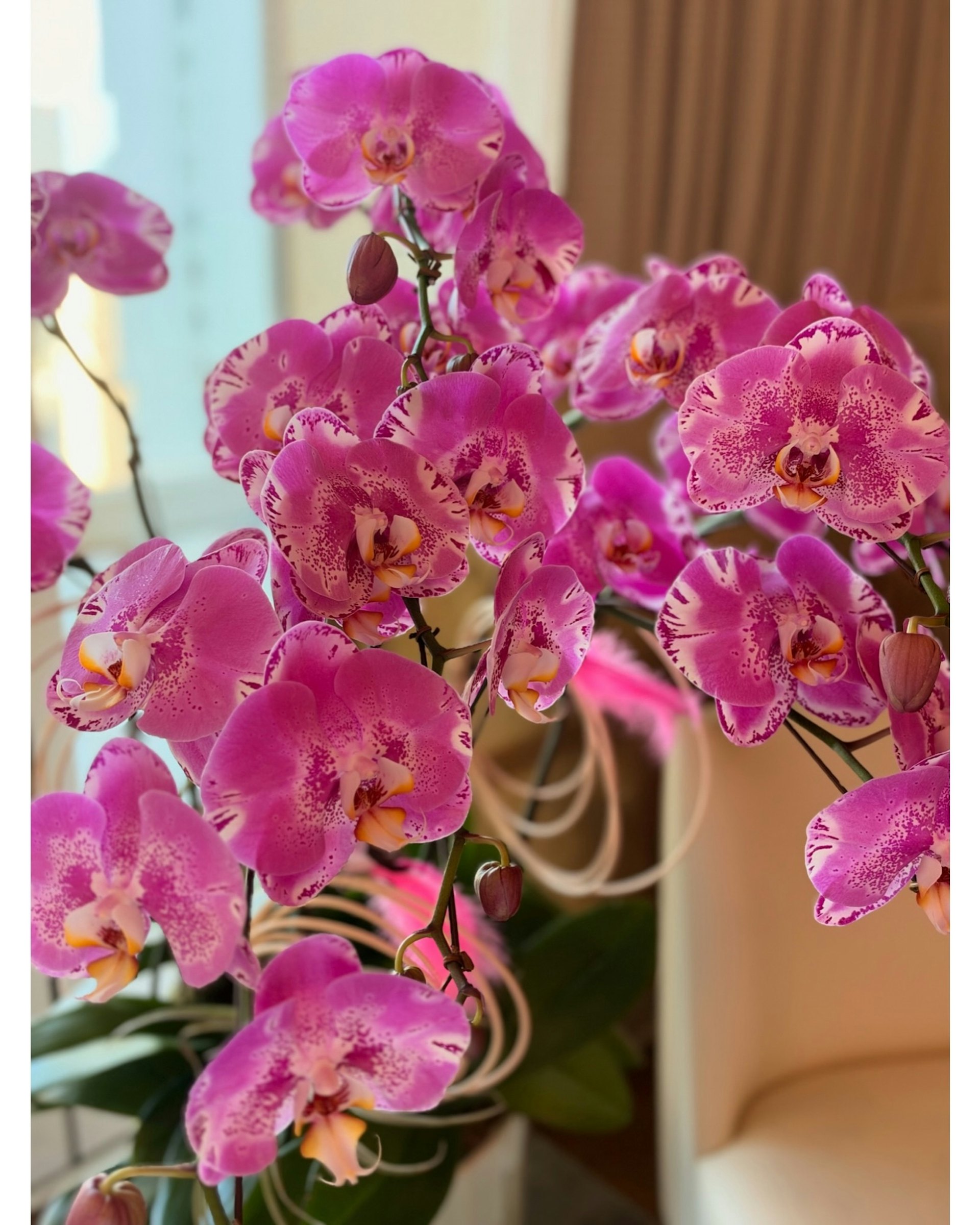收靚鮮花。(IG/@gigilai_official)